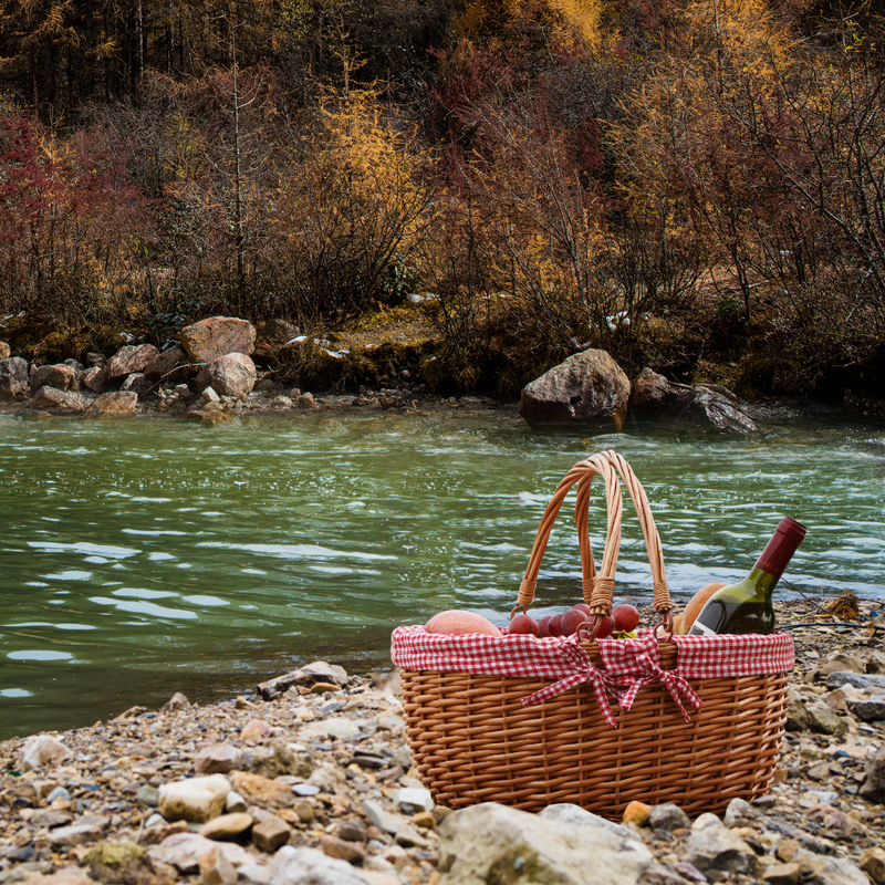 Cute Wicker Basket with Double Folding Handles